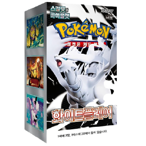 White Flare Display (KR)